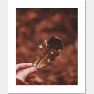 Photo of person holding brown leaf Posters and Art